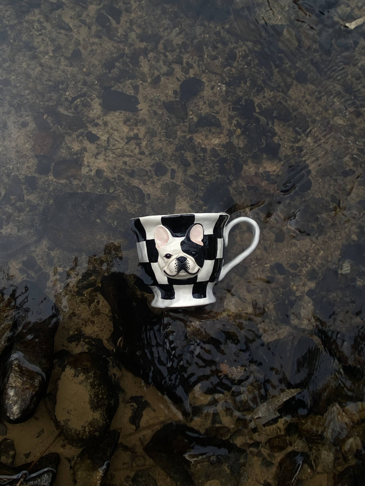 Black and White Café Companion